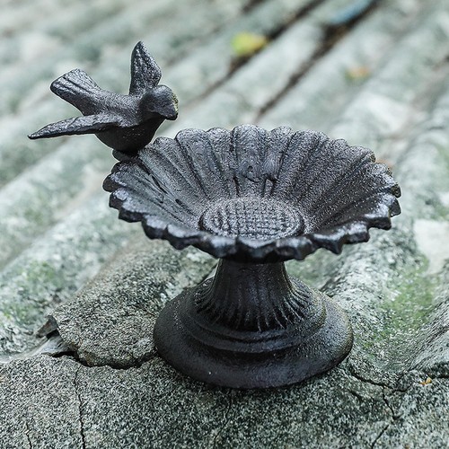 Bol bain oiseaux en - de,