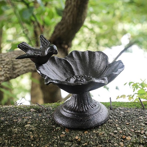 Mangeoire oiseaux pour - oiseaux,