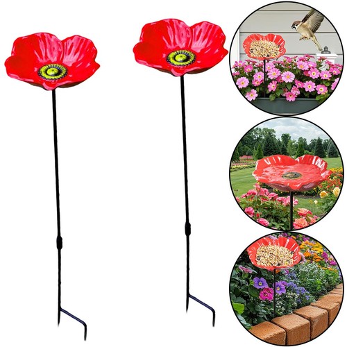 Jardin extérieur lot - jardin, 2